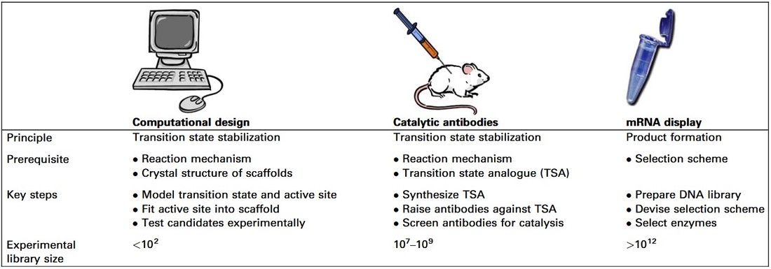 Comparison of de novo enzyme-generation methods: computational design, catalytic antibodies, and mRNA display