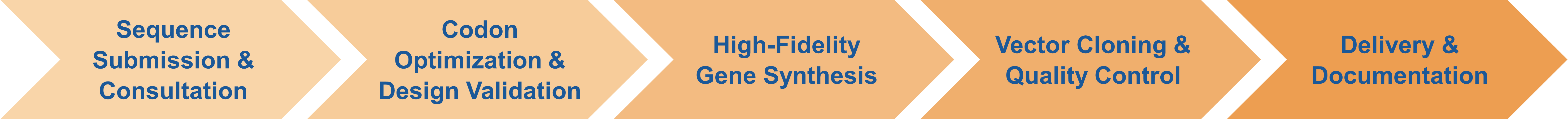 Service workflow of gene synthesis for site-directed mutagenesis