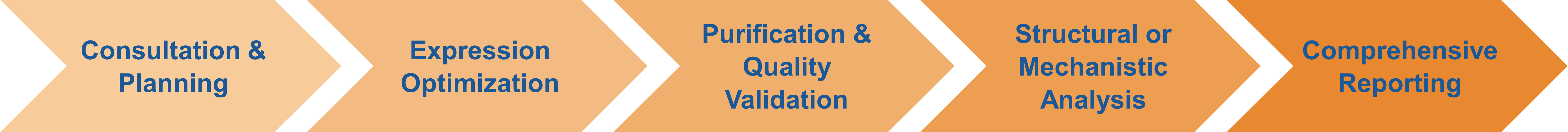 Workflow of downstream services for site-directed mutagenesis