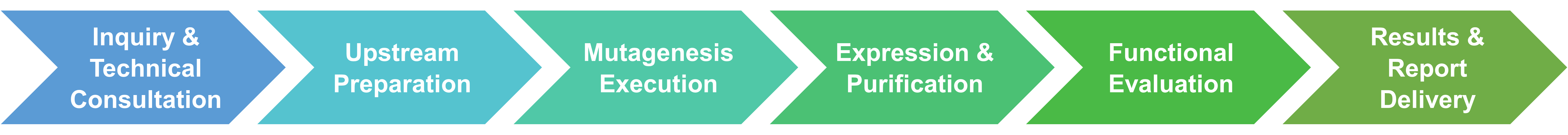 Workflow illustration for site-directed mutagenesis