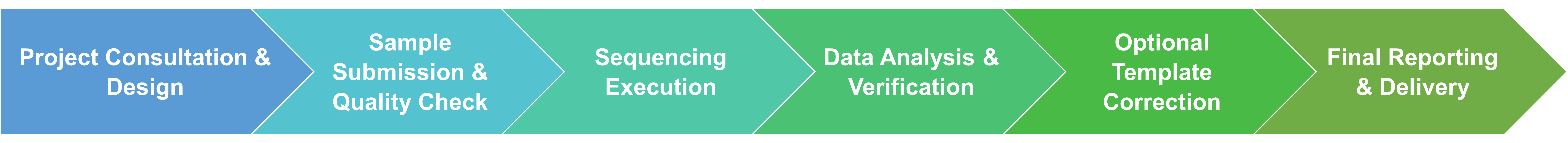 Workflow of template DNA sequencing service for random mutagenesis and DNA shuffling