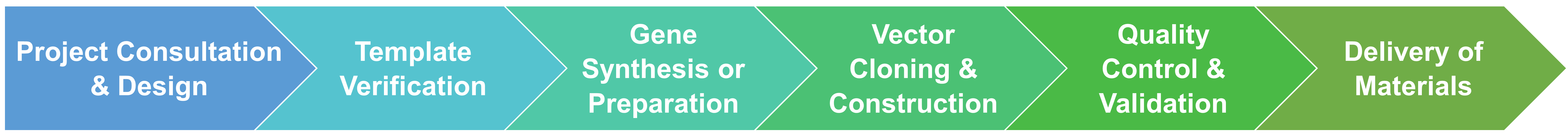 Workflow of upstream services for random mutagenesis and DNA shuffling
