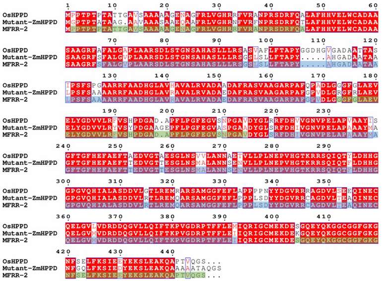 DNA shuffling–driven improvement of rice HPPD herbicide resistance