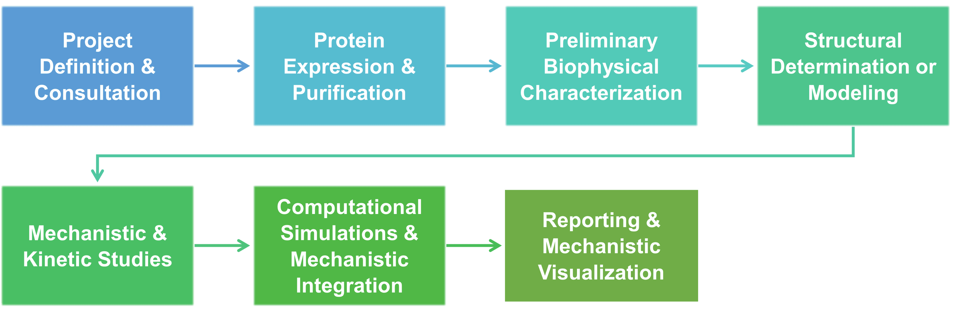 Workflow for structural and mechanistic analysis of random mutagenesis variants service