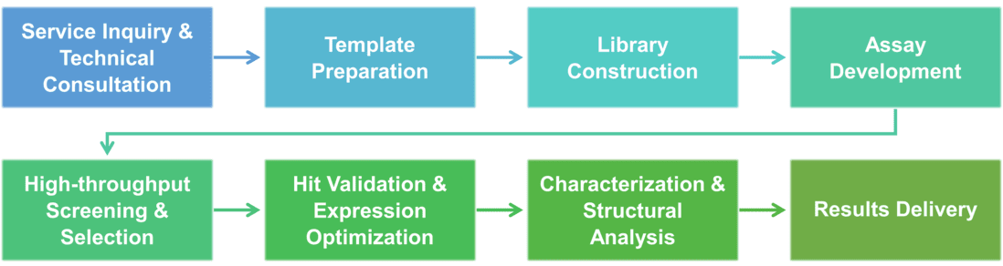 Service workflow for enzyme engineering through random mutagenesis and DNA shuffling