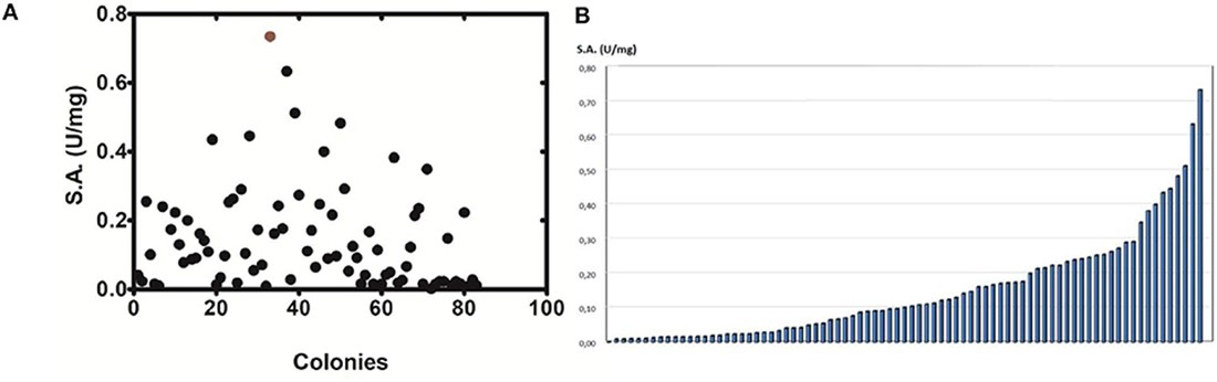 DNA shuffling-based directed evolution expanding plant GST enzymes with improved catalytic and binding properties