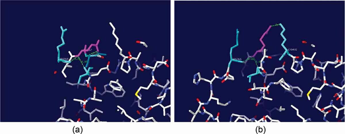 Improved catalytic efficiency of CotA laccase achieved through DNA shuffling-driven evolution