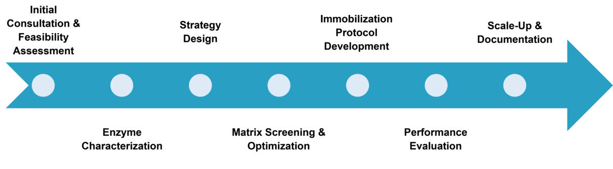 Service workflow for custom enzyme immobilization projects