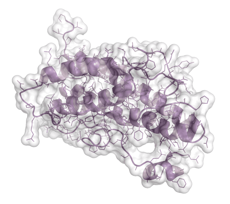 Enzyme engineering and modification services at Creative Enzymes