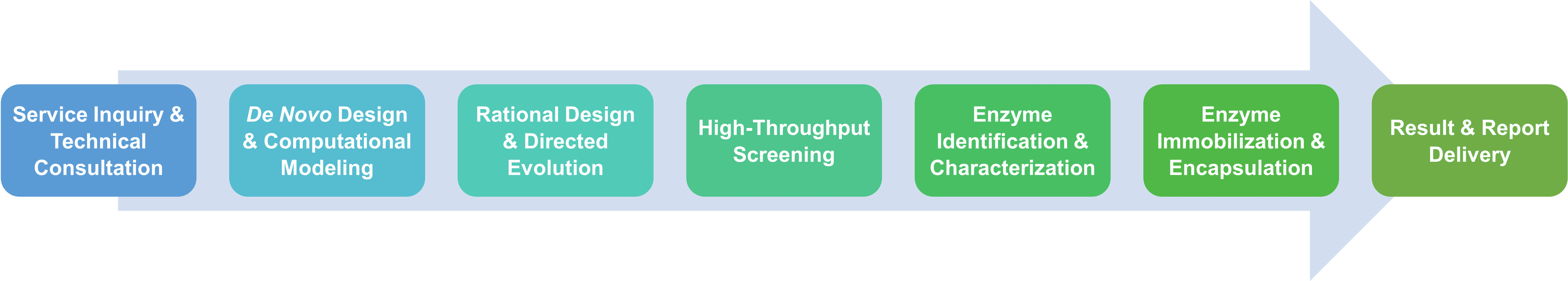 Diagram illustrating the step-by-step workflow used in enzyme engineering and modification projects