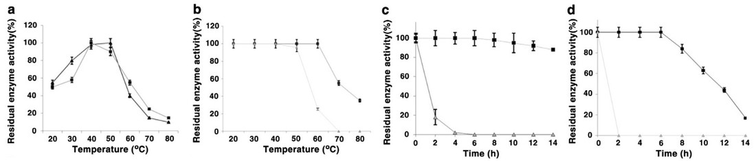 Engineering of a metagenome-derived lipase toward thermal tolerance: Effect of asparagine to lysine mutation on the protein surface
