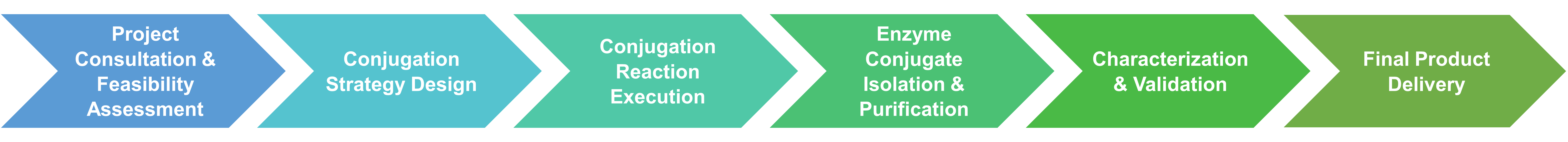 Workflow of enzyme conjugation with small molecules service