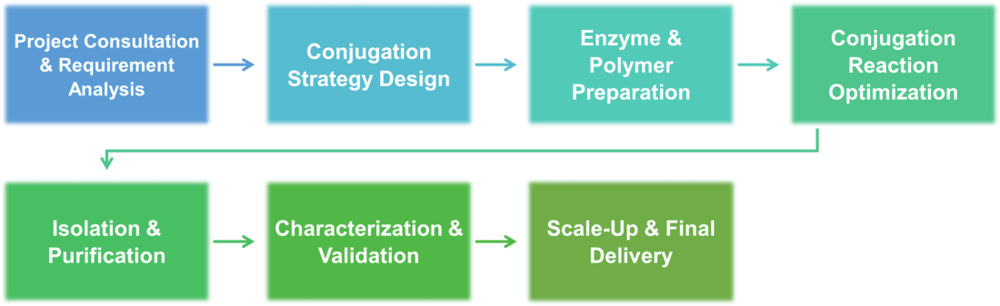 Workflow of enzyme conjugation with polymers service
