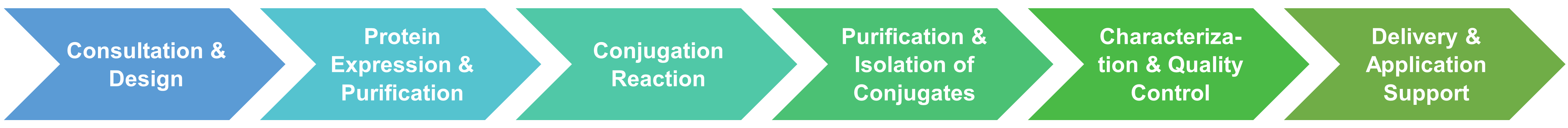 Workflow of enzyme conjugation with nucleic acids service