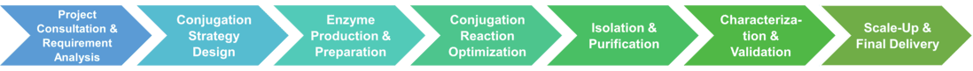 Workflow of enzyme conjugation service