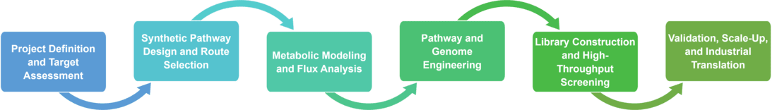 Workflow of biocatalytic reaction route development services