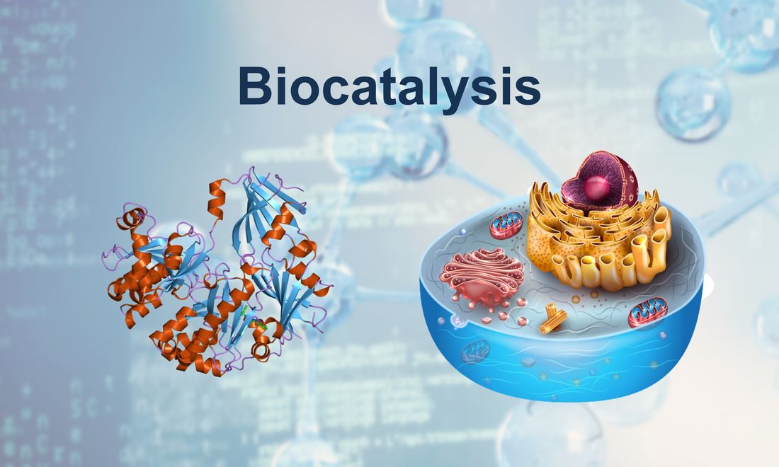 Biological catalysts include enzymes and whole-cell systems