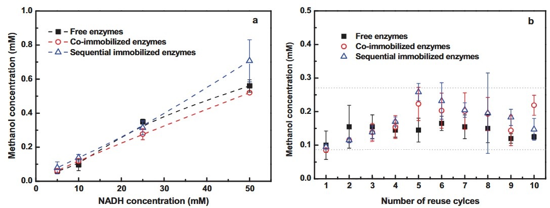 Evaluation of an enzymatic membrane reactor (EMR) with free and immobilized enzymes