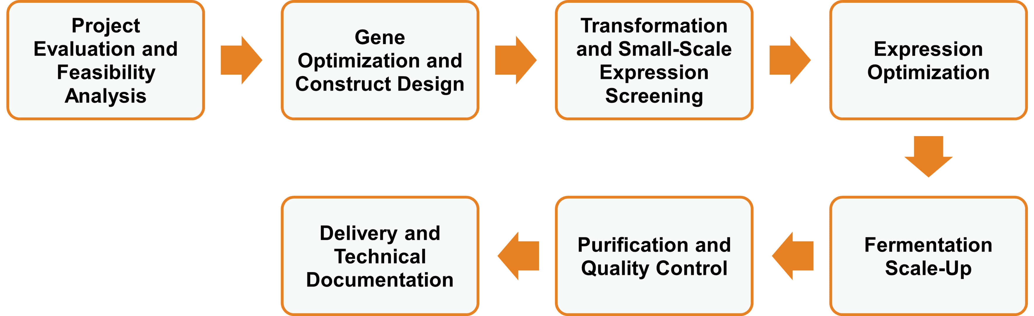 Service workflow of enzyme expression in E. coli system