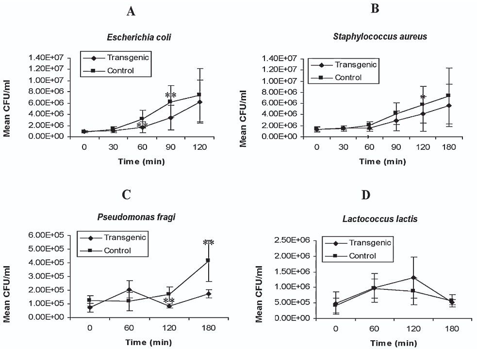 Human lysozyme expressed in the mammary gland of transgenic dairy goats can inhibit the growth of bacteria that cause mastitis and the cold-spoilage of milk