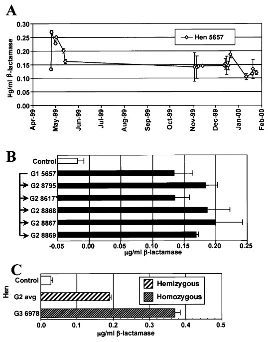 Validating the hen as a bioreactor for the production of exogenous proteins in egg white