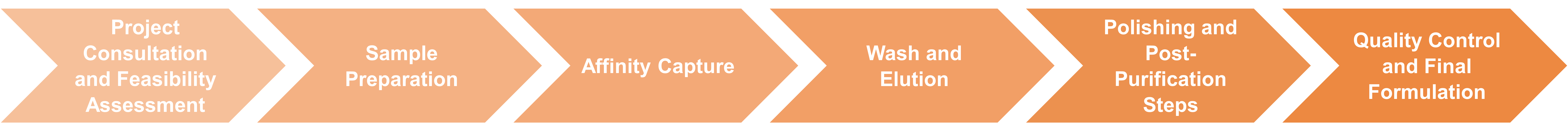 Affinity chromatography workflow for enzyme purification