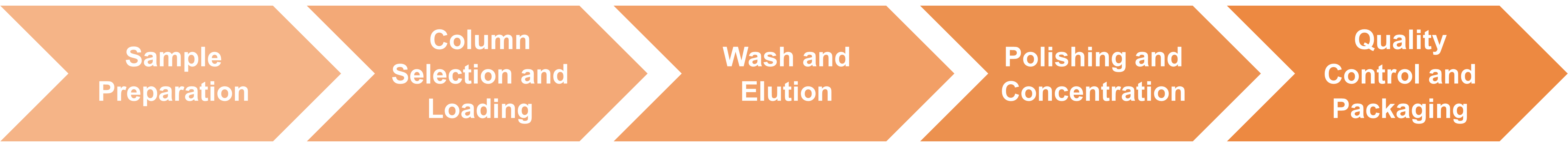 Ion exchange chromatography workflow for enzyme purification