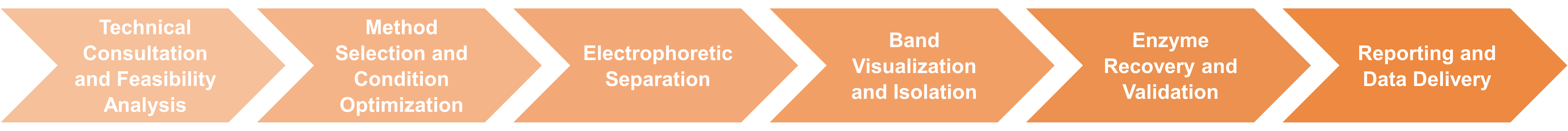Electrophoretic purification workflow