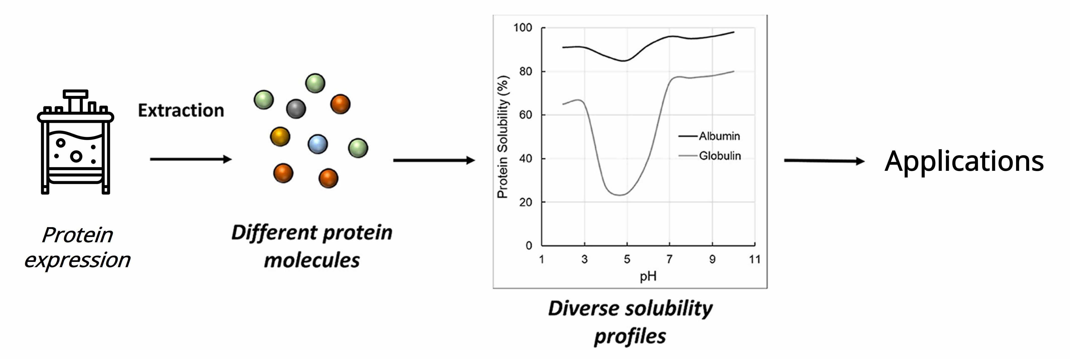 Protein solubility analysis and its importance in alternative proteins