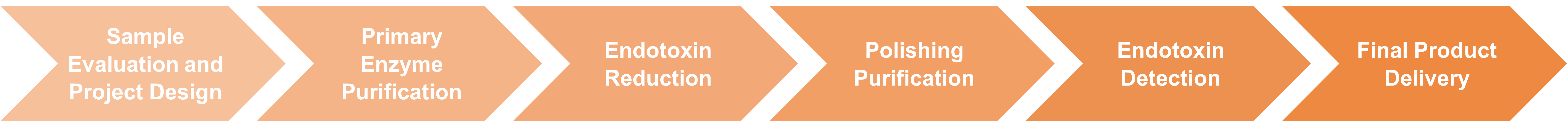 Endotoxin removal service workflow for purified enzymes