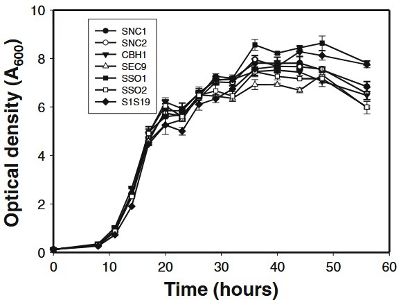 Over-expression of native Saccharomyces cerevisiae exocytic SNARE genes increased heterologous cellulase secretion