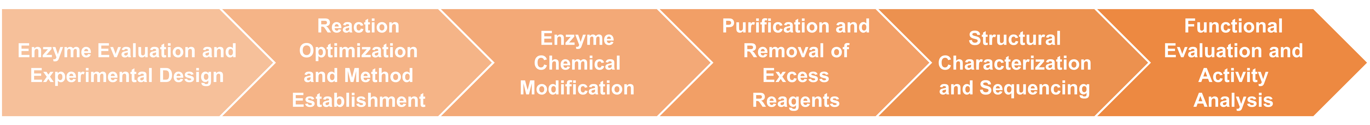 Workflow of enzyme chemical modification service
