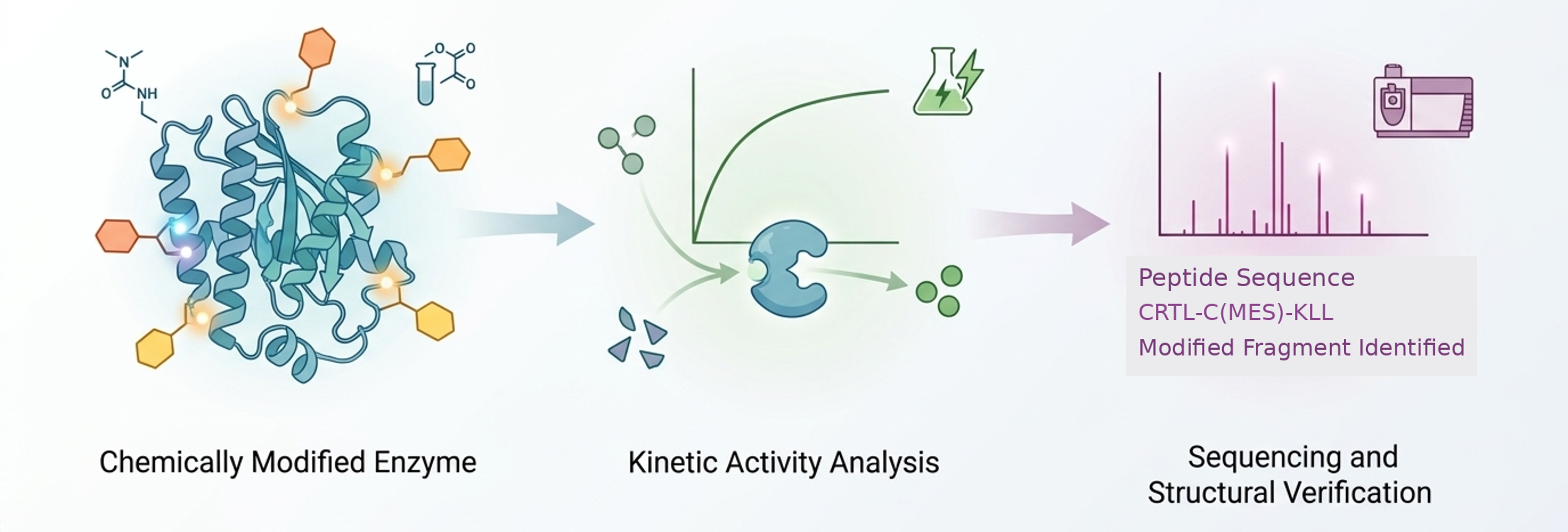 Kinetic analysis and sequencing of chemically modified enzymes