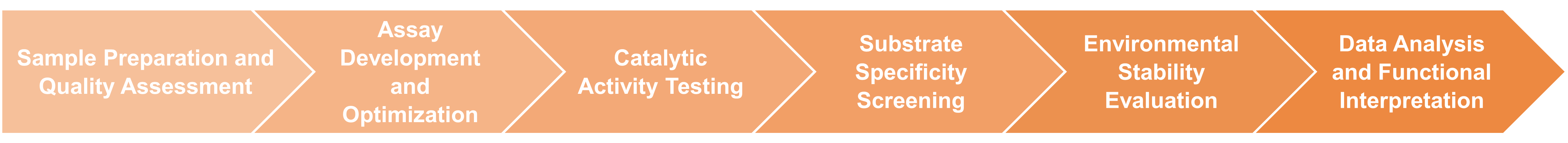 Workflow of functional evaluation service