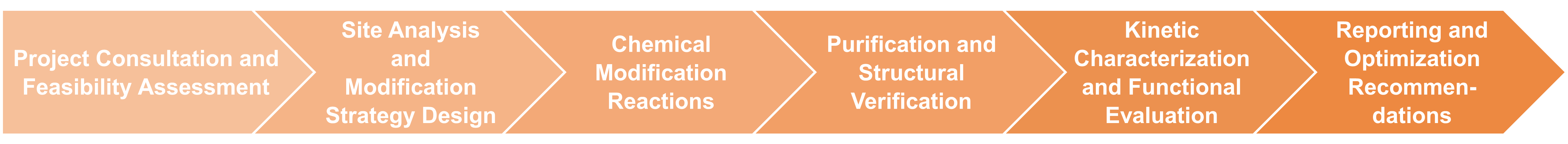 Workflow diagram for chemical modification of enzymes