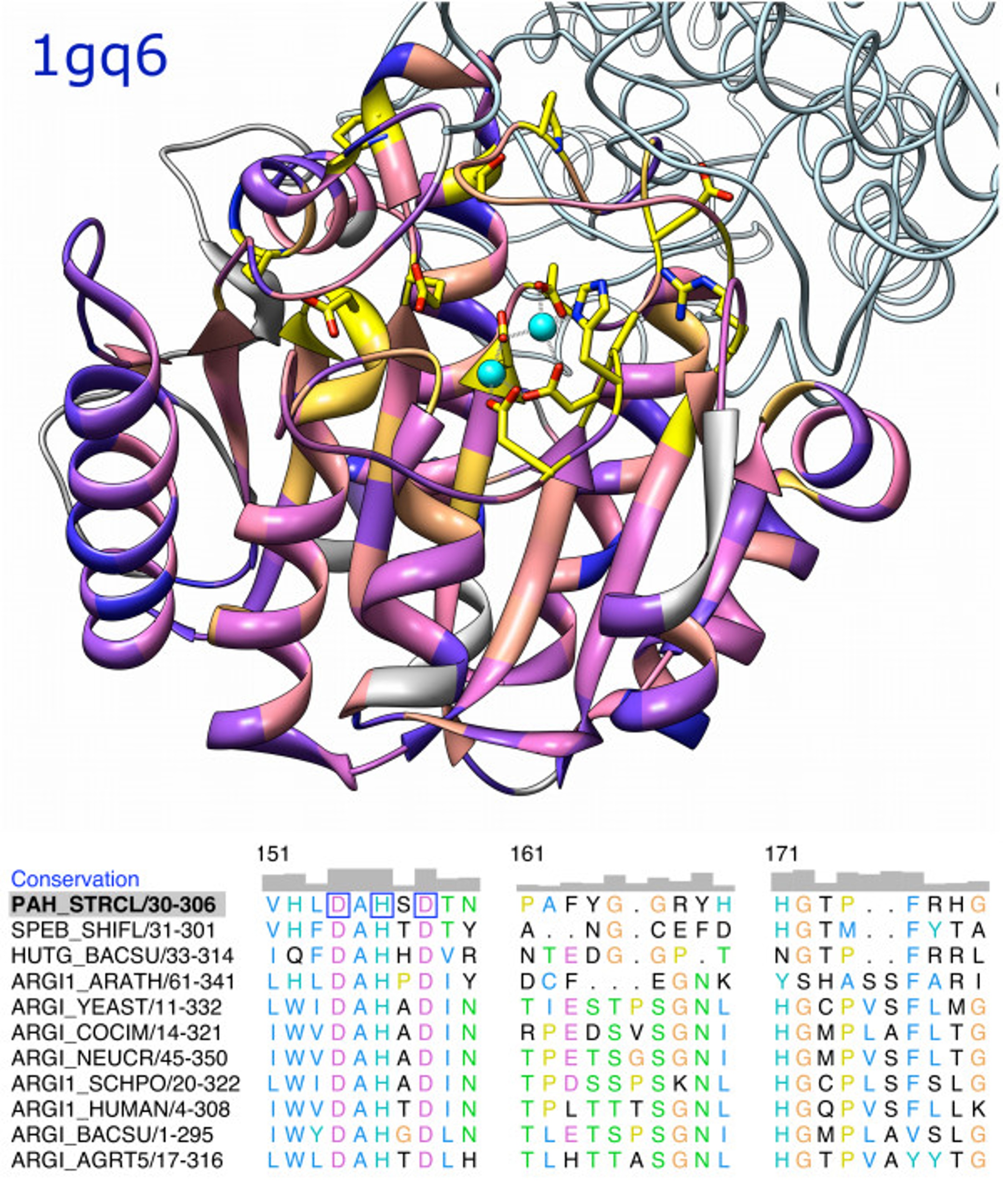 Sequence and structure analysis tools (UCSF Chimera)