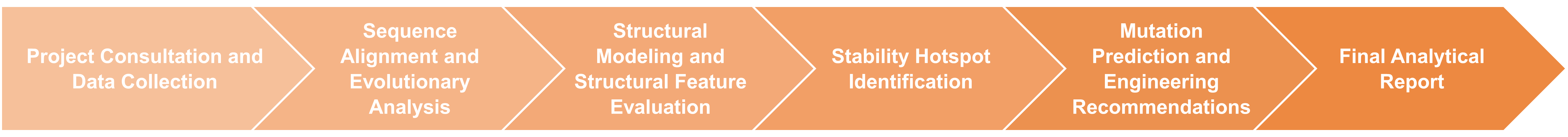 Workflow diagram for structural and sequence analysis of engineered enzymes