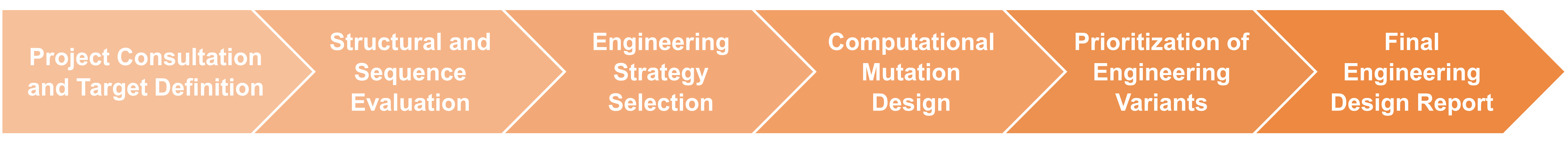 Workflow of protein engineering design process
