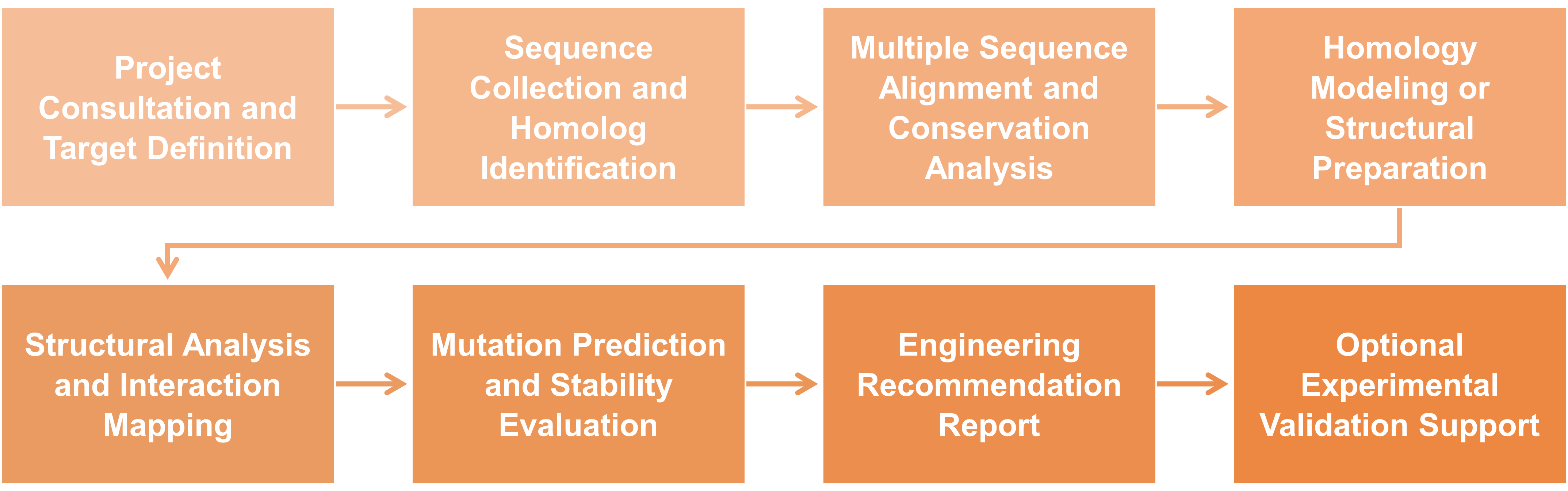 Workflow diagram for computational analysis and homology comparison of engineered enzymes