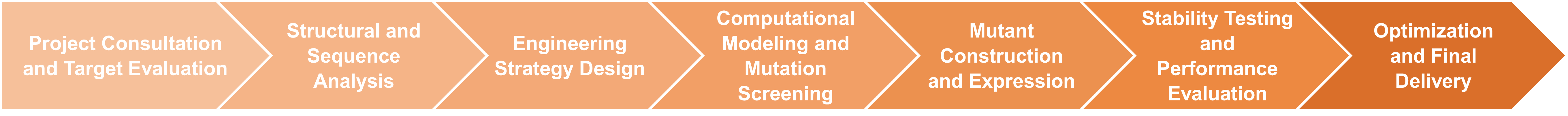 Workflow of enzyme stabilization by engineering service