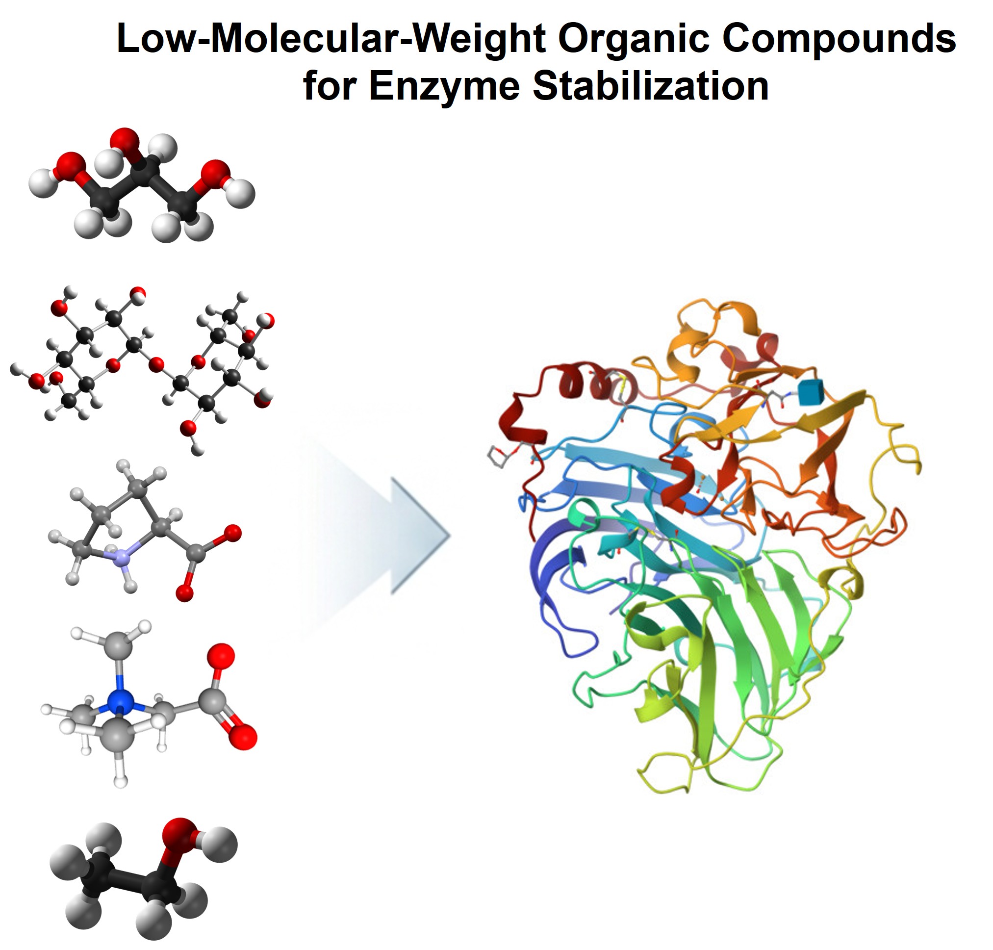 Screening of low-molecular-weight organic compounds for enzyme stabilization
