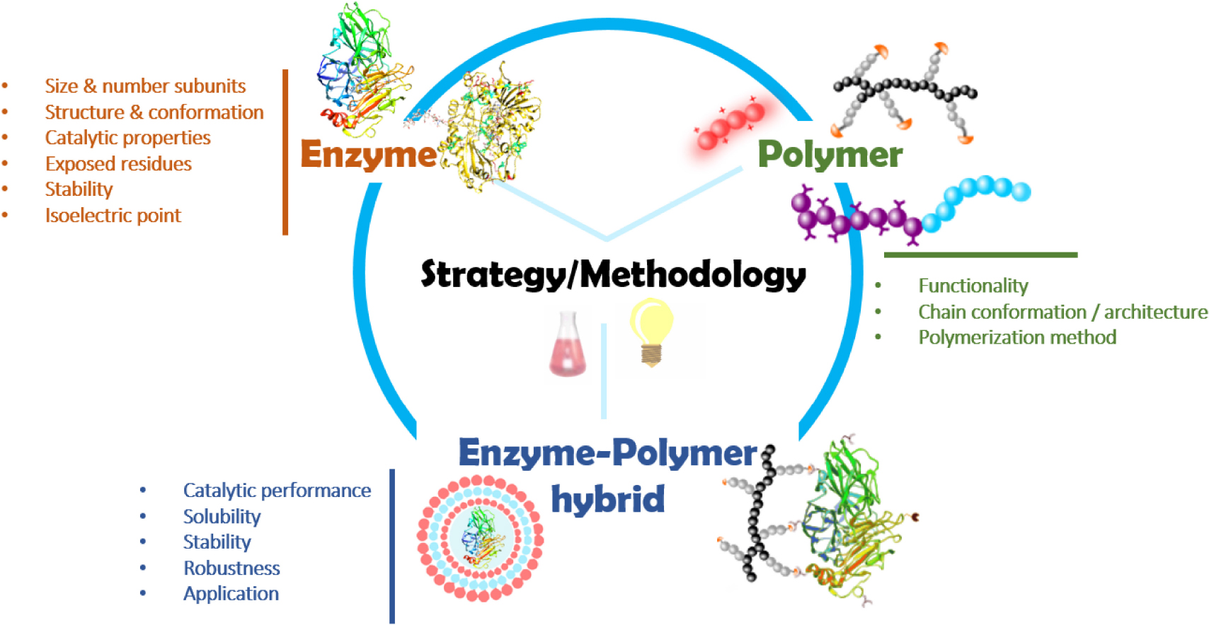Polymeric scaffolds for enzyme immobilization