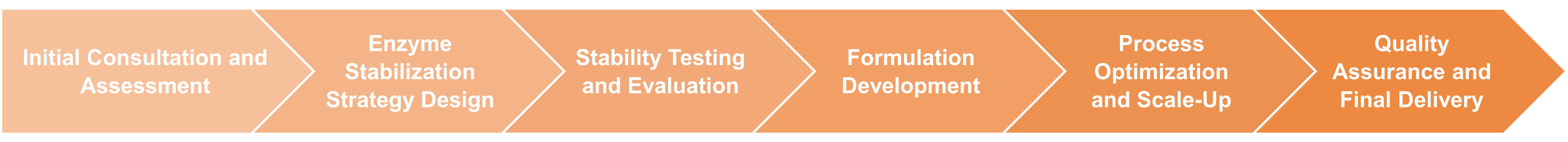 Workflow of enzyme stabilization and formulation service