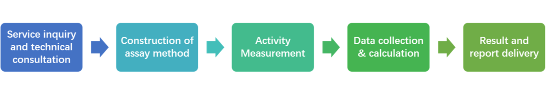 Workflow of enzyme activity measurement.