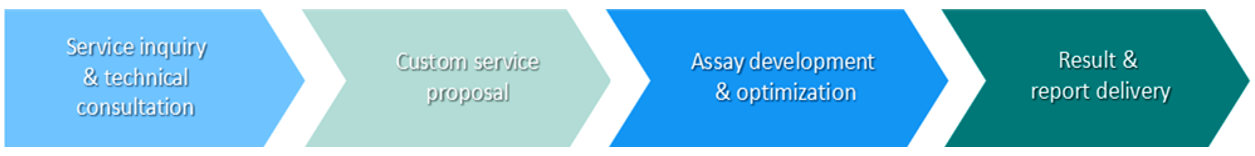 Enzyme assay development workflow