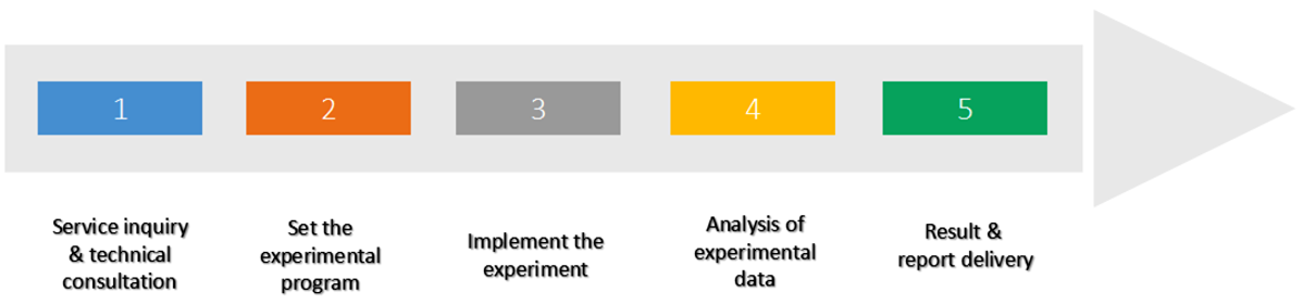 Enzyme kinetics workflow