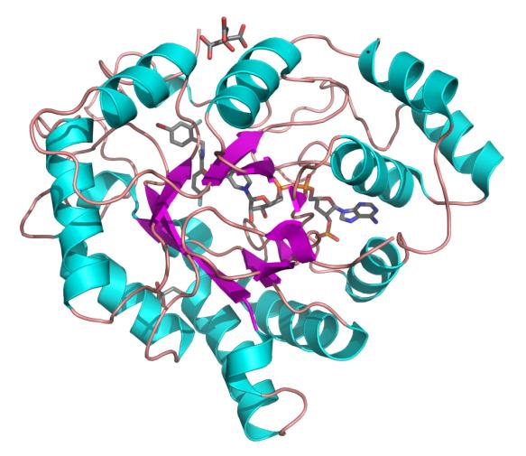 Structure of AKRs.