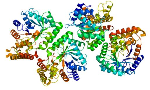 Structure of AKR7A2.