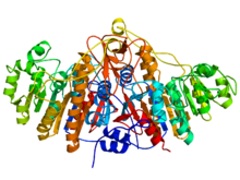 Protein structure of ALP.