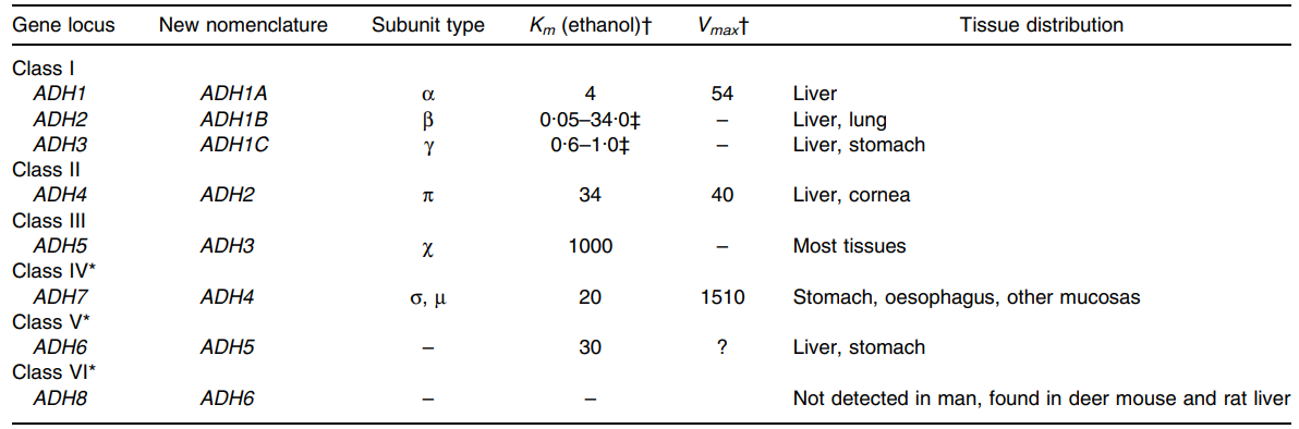 Properties of alcohol  dehydrogenases in man